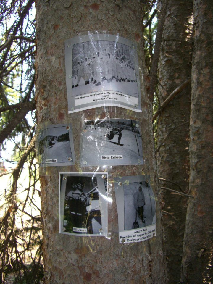 Photo of historic images at a shrine