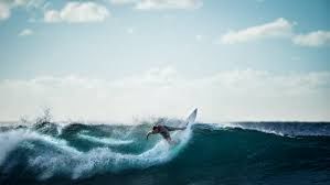surfing.stockimage.jpg