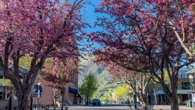Spring downtown Aspen
