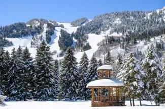 Paepcke Park Gazebo with Aspen Mountain Background, Winter
