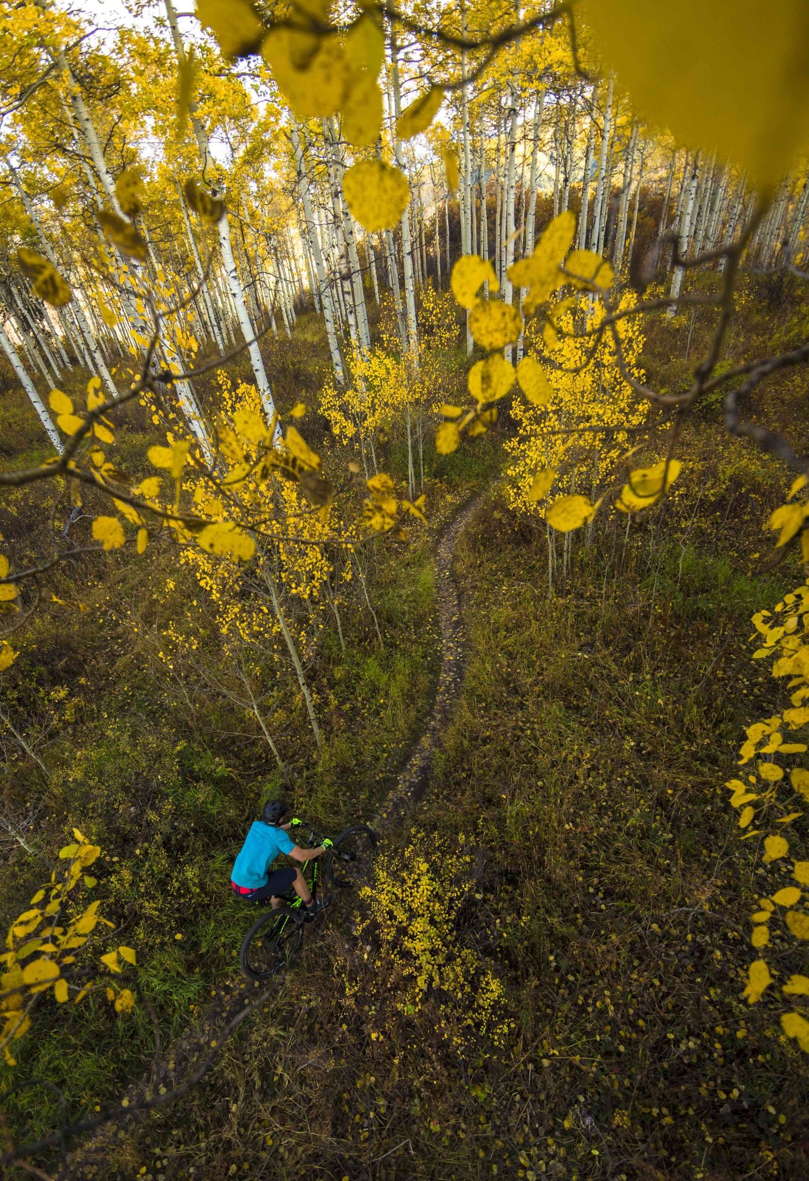 MTB Aspen