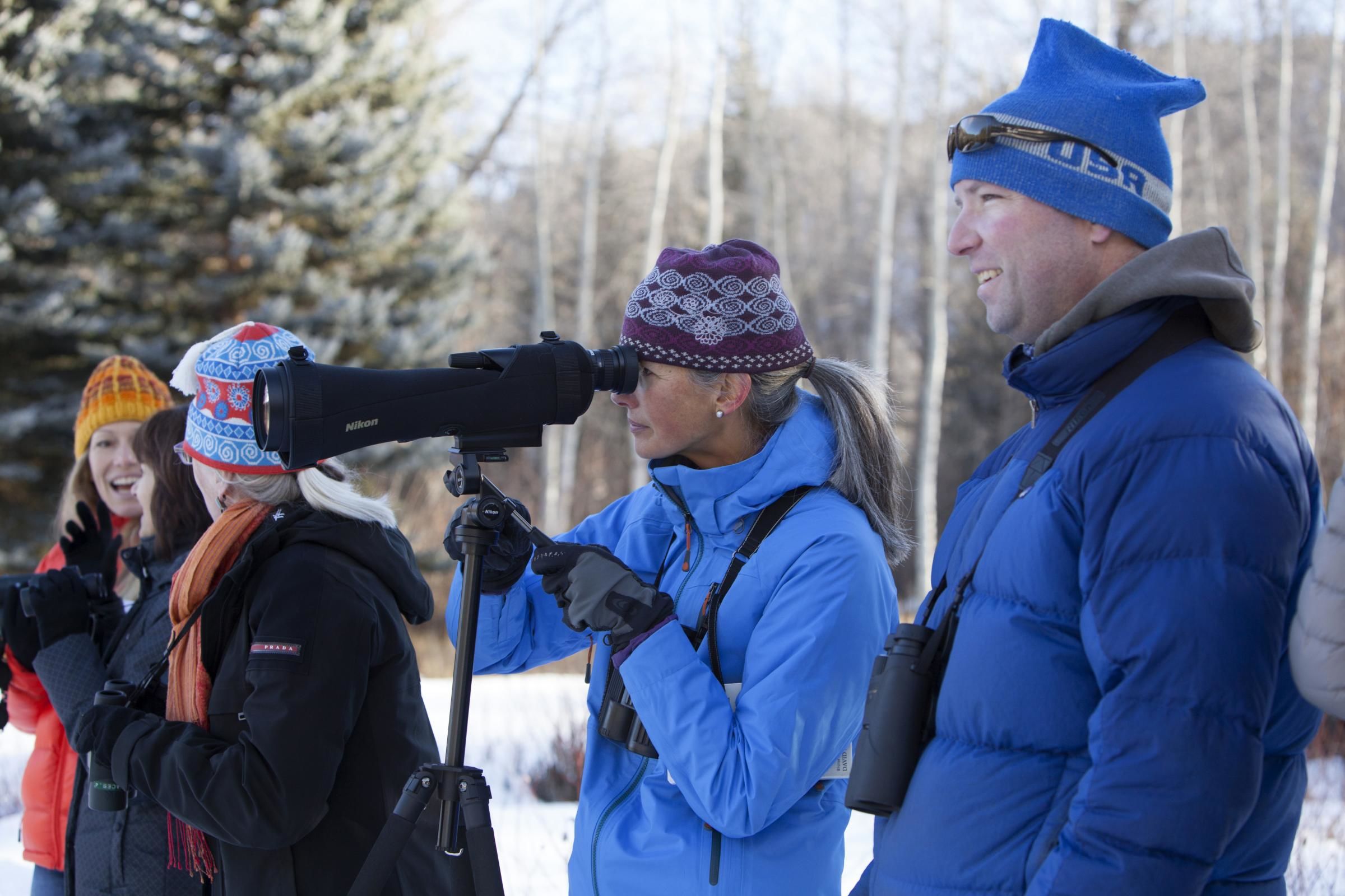 for more cbc experience join the mid valley audobon christmas bird count hosted by roaring fork audobon on saturday december 16 contact ton mcconnell for - Audubon Christmas Bird Count for more cbc experience join the mid valley audobon christmas bird count hosted by roaring fork audobon on saturday december 16 contact ton mcconnell for - Audubon Christmas Bird Count