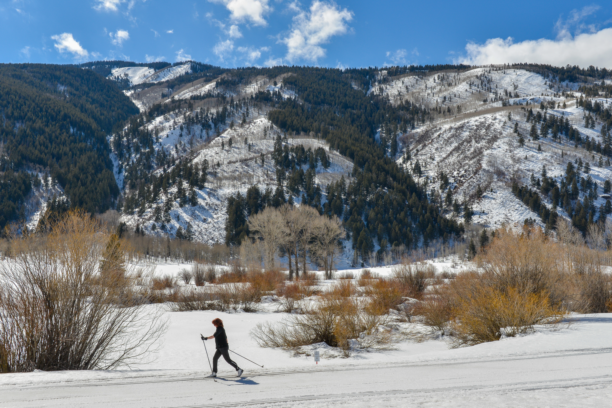 Cross country ski in Aspen