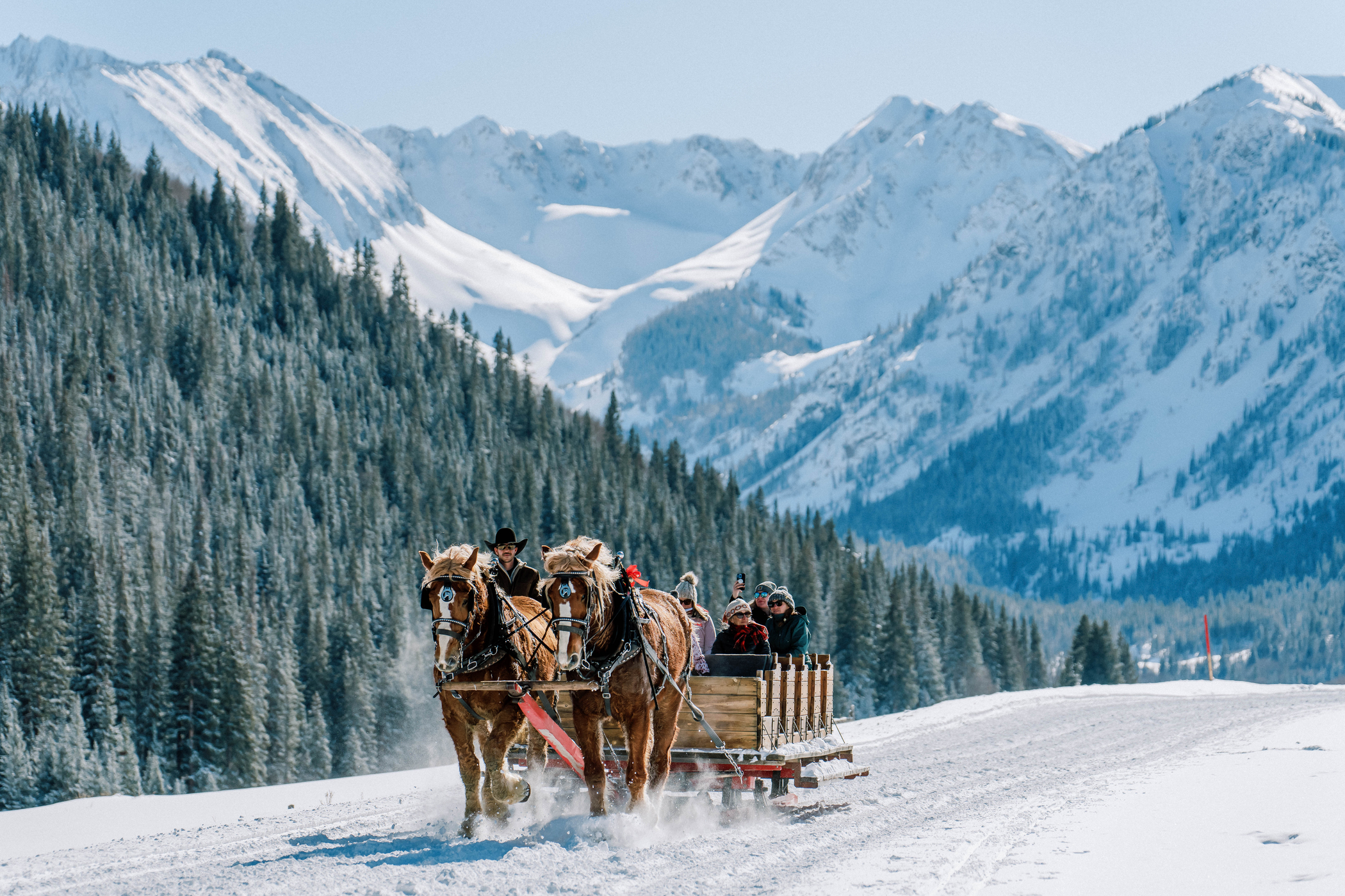 Sleigh Rides in Aspen