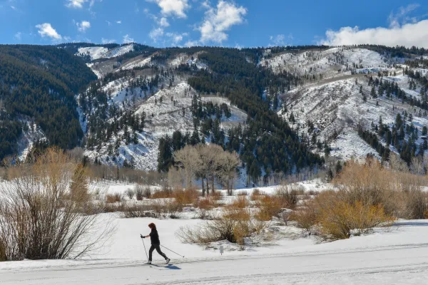 Cross Country Skiing