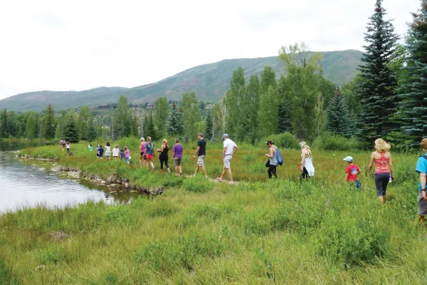 ACES 20 20Hallam 20summer 20group preview