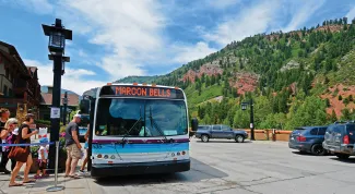 BUS