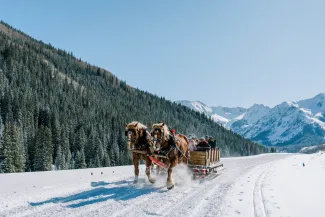 Ashcroft horse drawn sleigh ride
