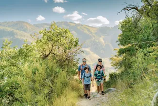 Summer Family Hike