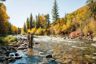 Fly Fishing Aspen