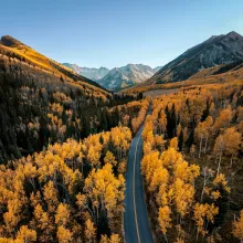 Fall Colors in Aspen, Colorado