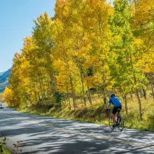 Fall Biking C2